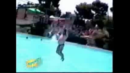 Funny videos 