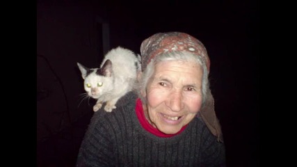 Баба Галка и котката.голям смях.