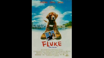 Fluke (1995) Soundtrack - китара-кавър