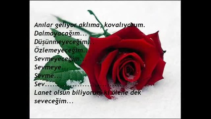 Berksan Sibel