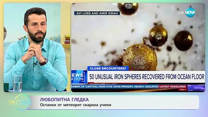 Професор от Харвард твърди, че е открил метеорит с извънземен произход
