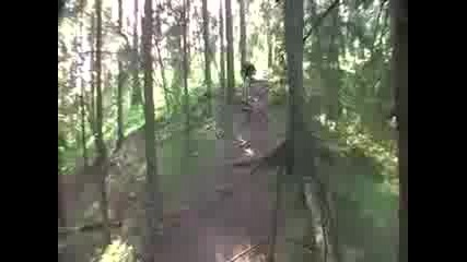 Frognerseteren downhill freeride