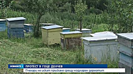 Пчелари протестираха в Гоце Делчев
