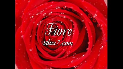 01. Lara Fabian - " Qui pense a l’amour " /албум Eponyme/