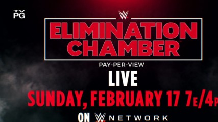 WWE Elimination Chamber (US)