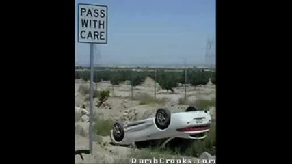 Fatal Drunken Car Crash Caught Hopelessness.