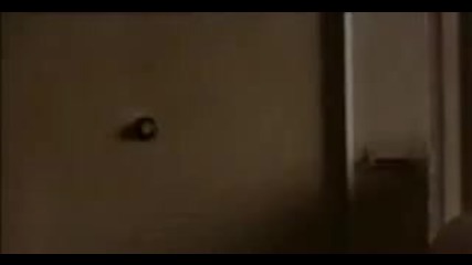 The Echo Trailer