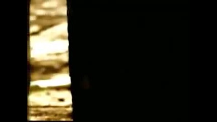 Roxette - Anyone official video