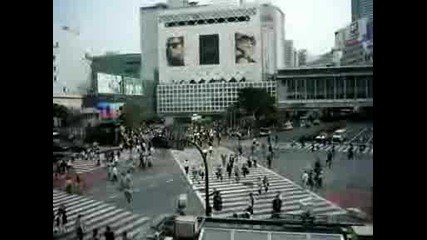 Tokyo Shibuya Crossing - Центъра На Токио