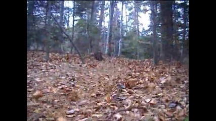 Ride in Peace downhill movie