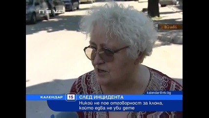 Клон на дърво падна върху дете в количка