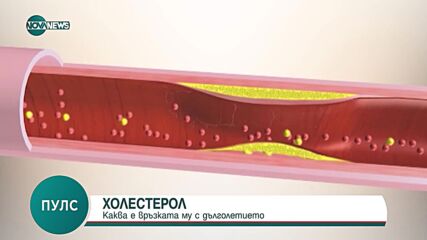 Холестеролът и връзката му с дъголетието: Съветите на лекаря