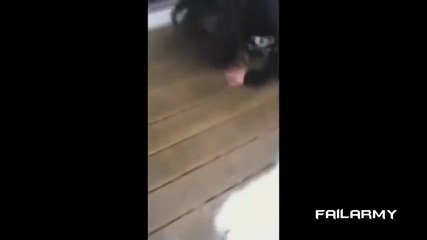 Женски пребивания