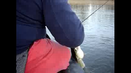 Риболов На Щука 2
