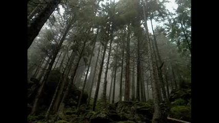Krisivata Priroda! 