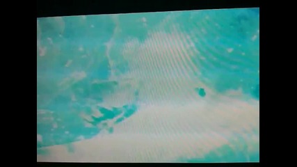 Naruto Ultimate Ninja 5 Intro 