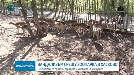 Вандали срязаха клетката на кошути в хасковския зоопарк