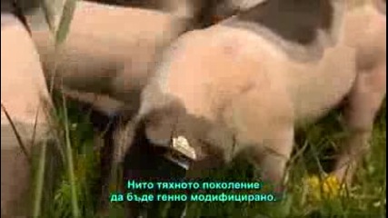 Монсанто патент за прасе 4та част
