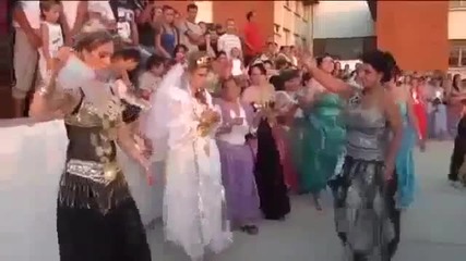 salioka 2013