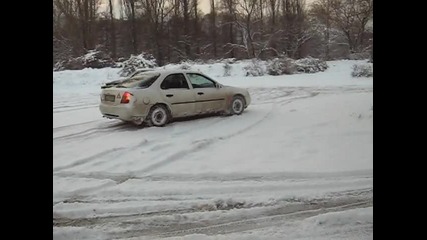 белия лебед