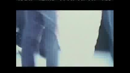 Dove - Real Curves 