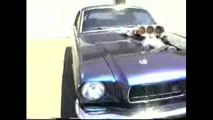 Ford Mustang Supercharger Burnout 1965
