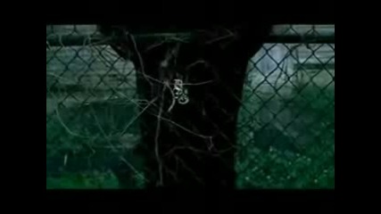 Birdman Feat. Lil Wayne - Neck Of The Woods (c) 2009