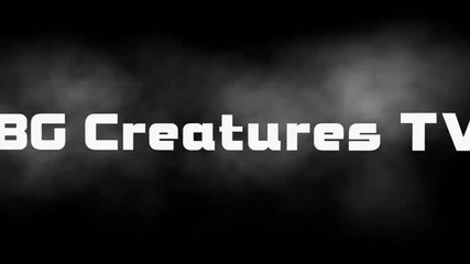 Bg Creatures - Скоро събиране в София