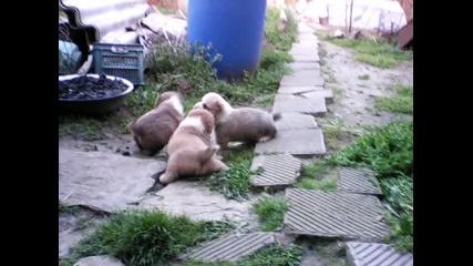 Vid_20150410_192517