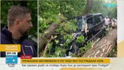 На минути от трагедия: Огромно дърво премаза автомобили пред ресторант до Пловдив