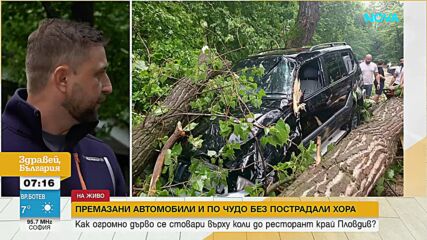 На минути от трагедия: Огромно дърво премаза автомобили пред ресторант до Пловдив