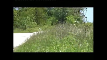 test_bmw_x3