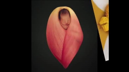 За децата, цветята и ... вълшебния дует