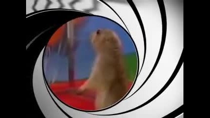 Agent 007:dramatic Chipmunk