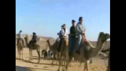 Дебелак не може да слезе от камила