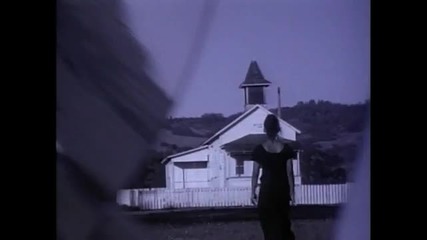 Shai - Comforter 