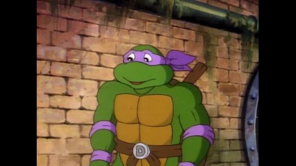 69 - Peking Turtle