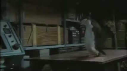 Забавна реклама с пингвини : D 