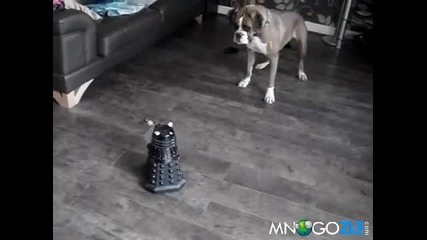 Боксер срещу робот 