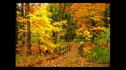Richard Clayderman - Love Story