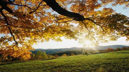 [ hq ] Temple One feat. Hannah Ray - Autumn Leaves (estiva Remix)