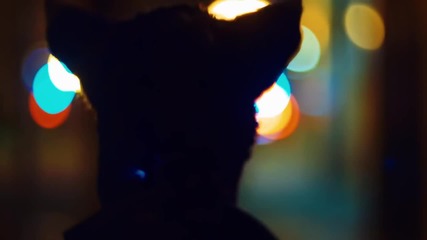 Galantis - Runaway (u & I) (official Hd Video)