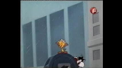 Sylvester And Tweety Mysteries Bg Audio 22 - The Star Of Bomba