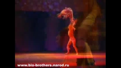 Bio - Brothers
