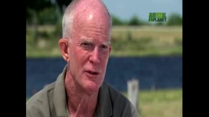 When Animals Strike - Gator Strike Call for Help