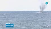 „Бриз 2025“: Във Варненския залив се провежда националното военноморско учение