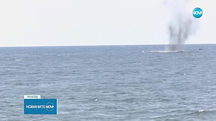„Бриз 2025“: Във Варненския залив се провежда националното военноморско учение