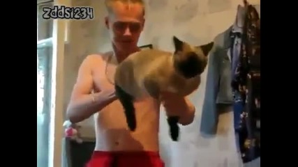 Котка калашник! Смях