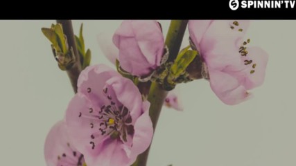 Edx - All I Know / Official Music Video