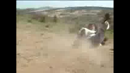 Matrix Inek.3gp